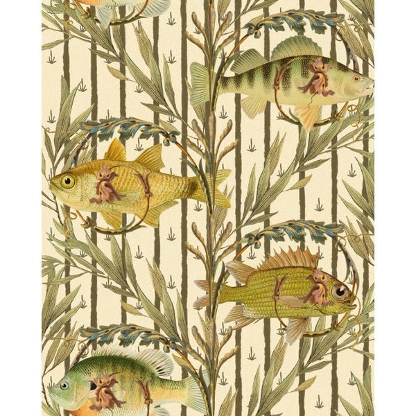 Sweetwater Fish  Wallpaper | Mind The Gap