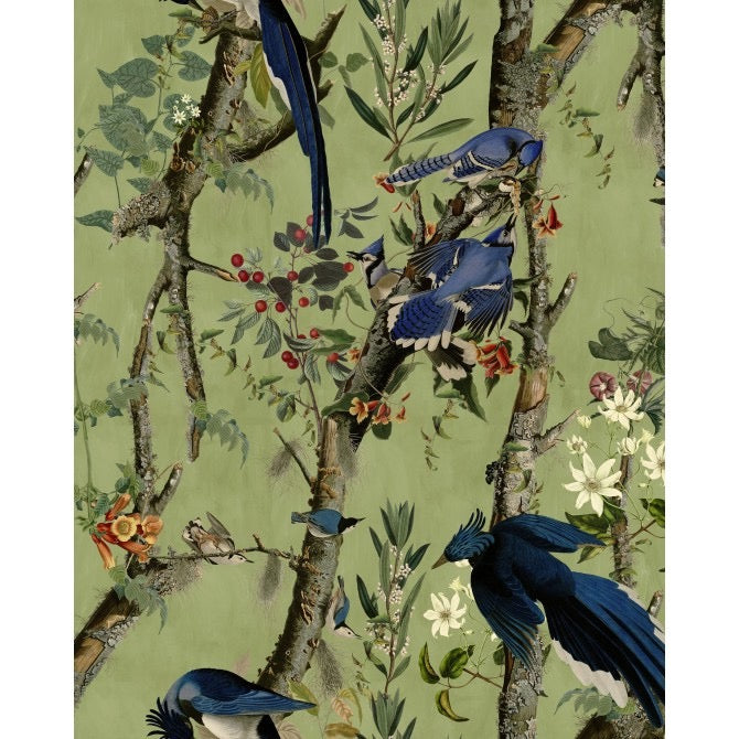 Birds Of Danube Wallpaper | Mind The Gap