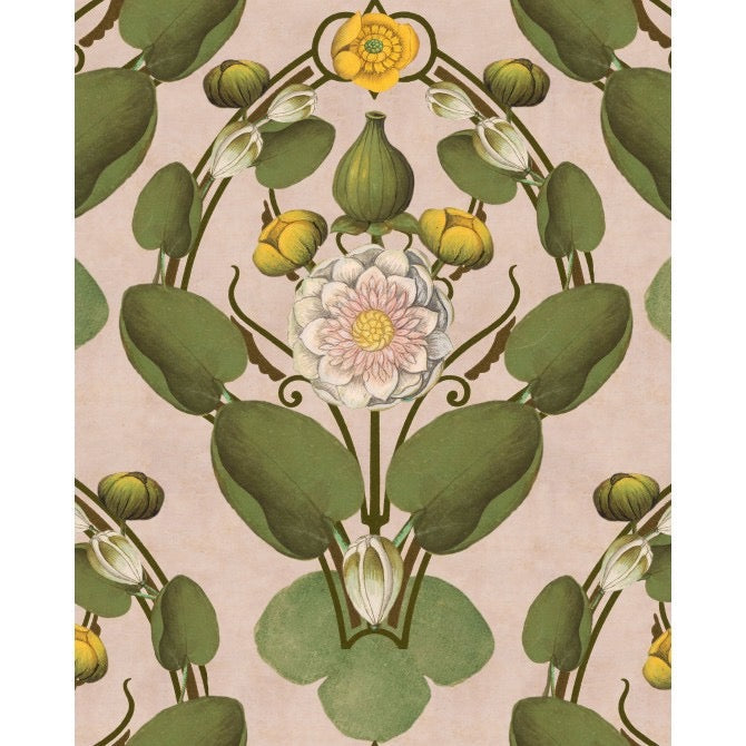 Nymphaea Light Pink  Wallpaper | Mind The Gap