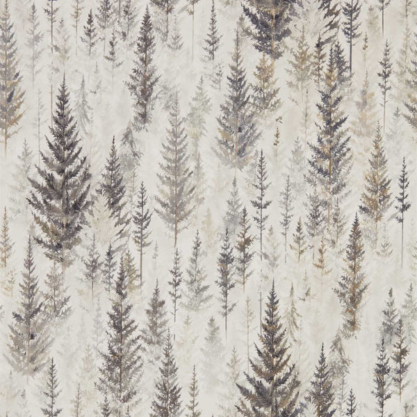 Juniper Pine Elder Bark | Sanderson