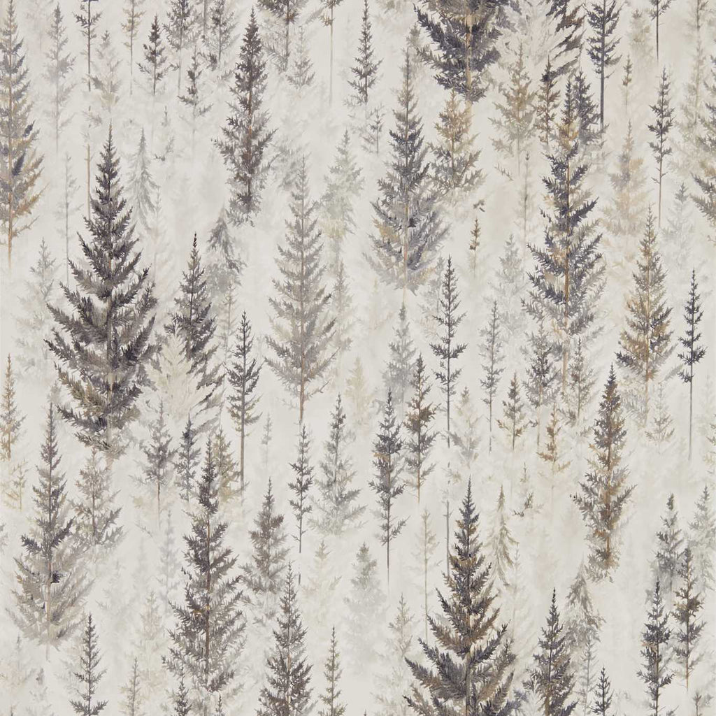 Juniper Pine Elder Bark | Sanderson