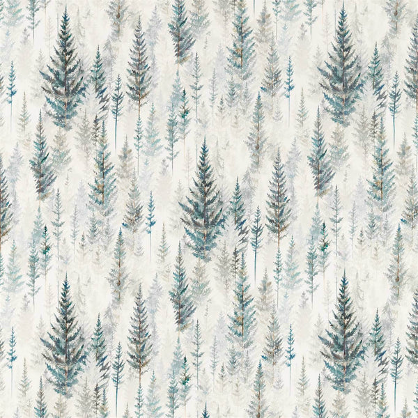 Juniper Pine Pine Forest | Sanderson