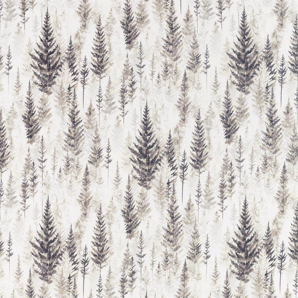 Juniper Pine Pine Elder Bark | Sanderson