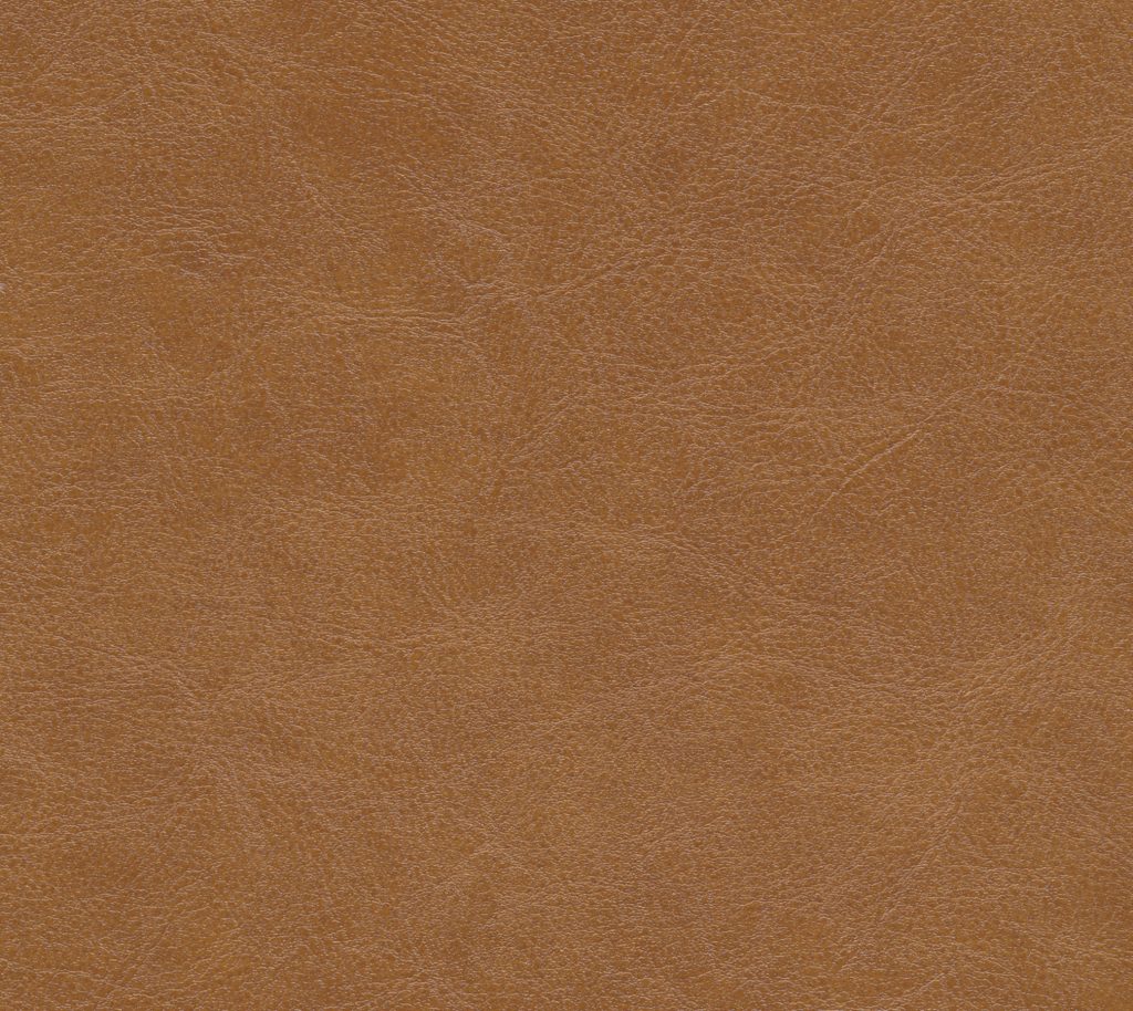 Coastal - Canyon Wallcovering | Phillipe Romano