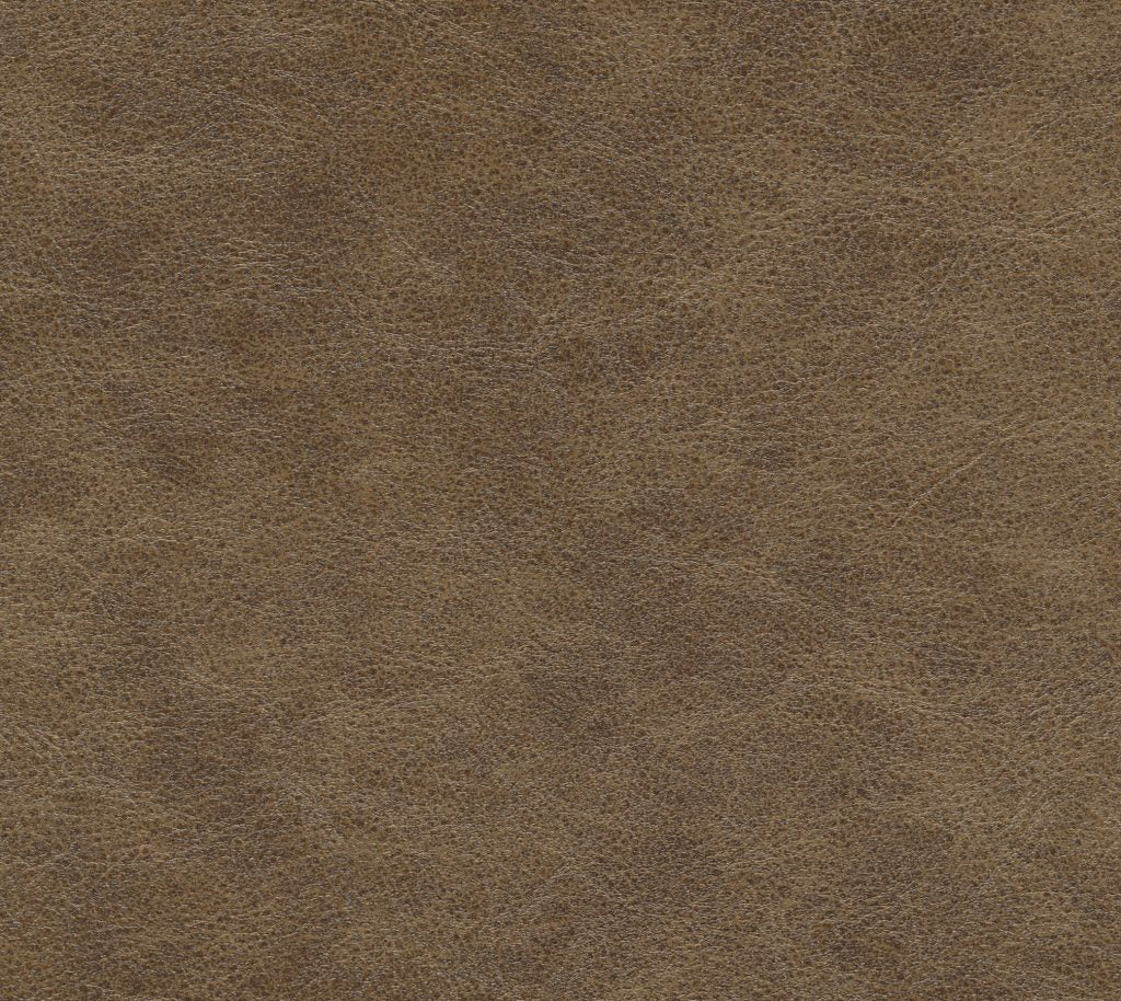 Coastal - Bushwhack Wallcovering | Phillipe Romano