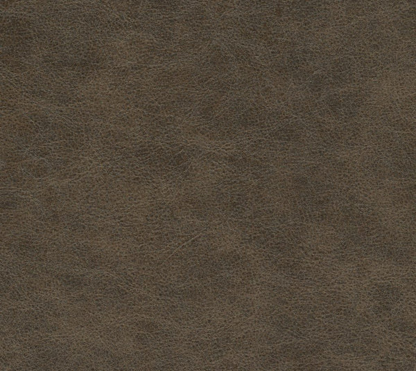 Coastal - Moringa | Commercial Fabric | Los Angeles Fabrics