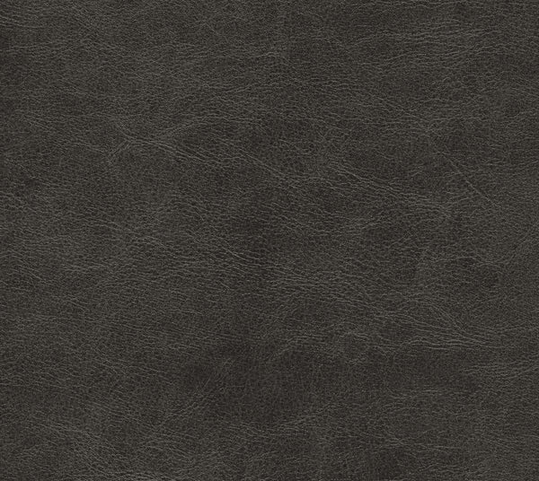 Coastal | Commercial Fabric | Los Angeles Fabrics