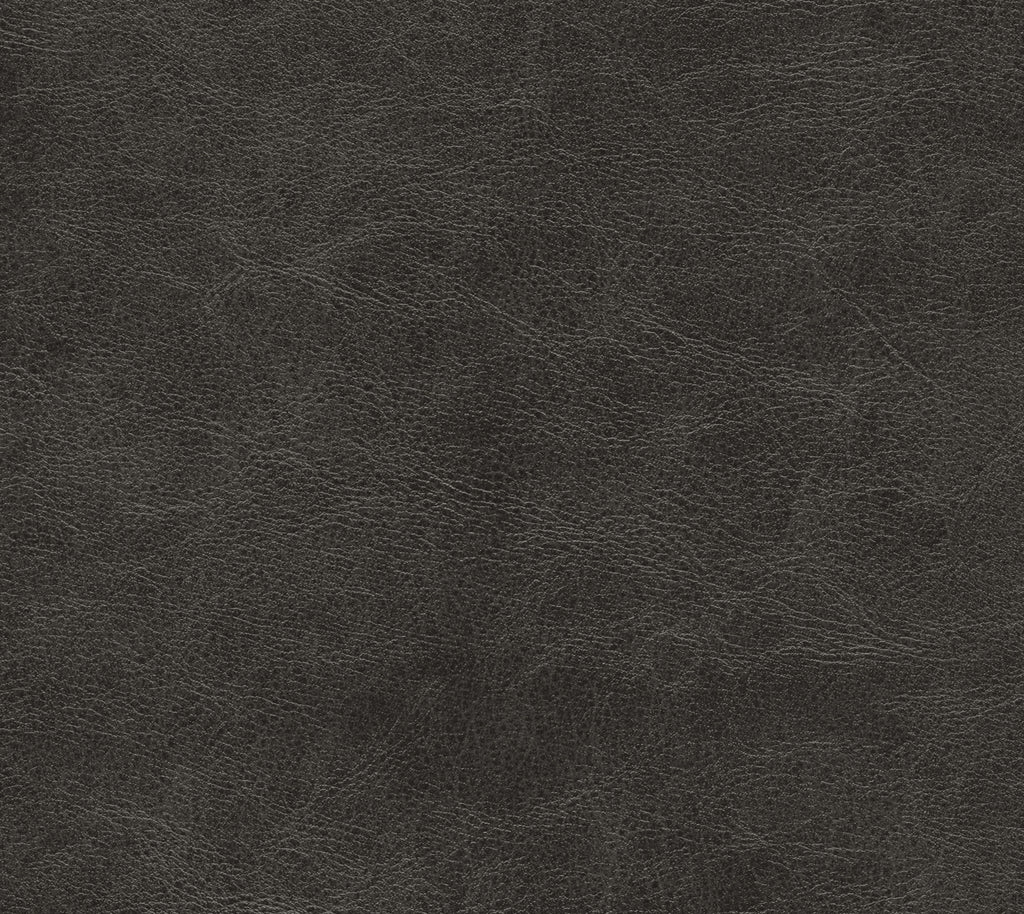 Coastal - Shadows Wallcovering | Phillipe Romano