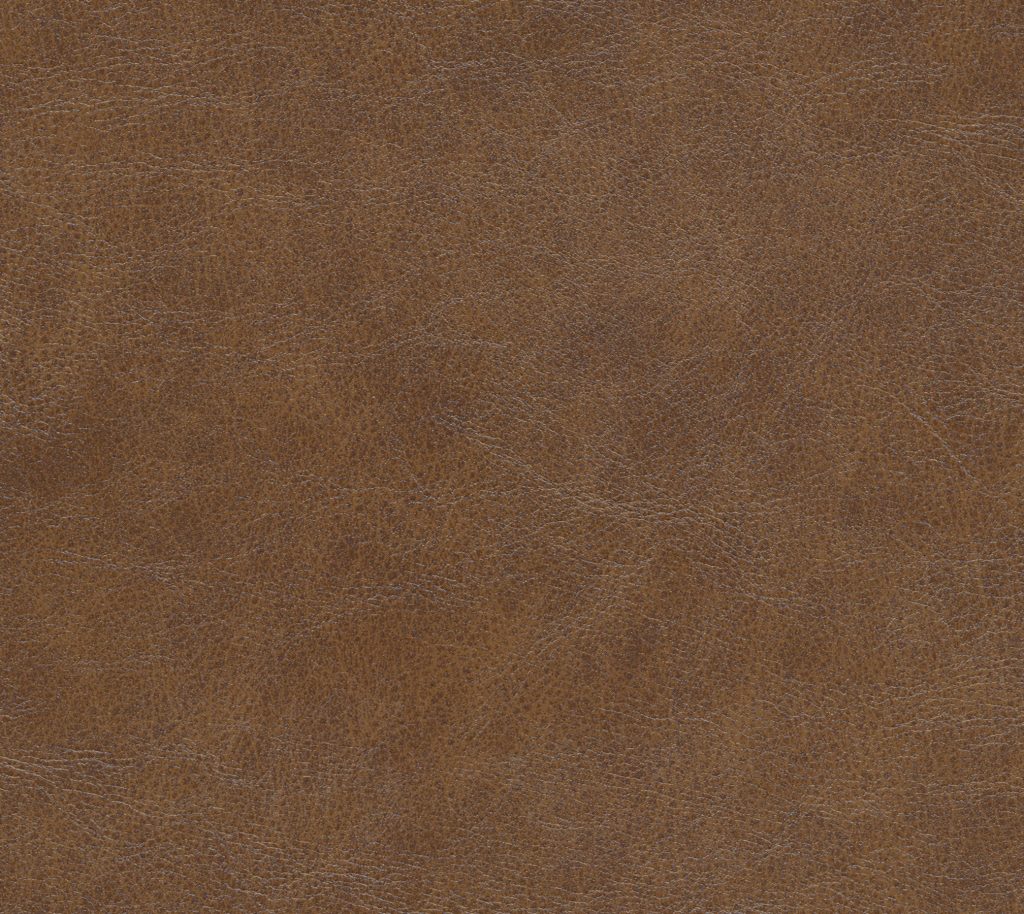 Coastal - Expedition Wallcovering | Phillipe Romano