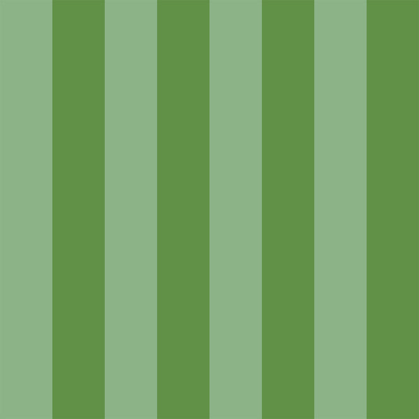 Pico 6" Fentucci Stripe -  Midnight Green