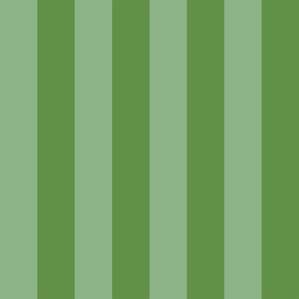 Pico 6" Fentucci Stripe -  Midnight Green