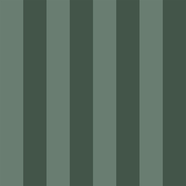 Pico 6" Fentucci Stripe -  Oxford Olive Green