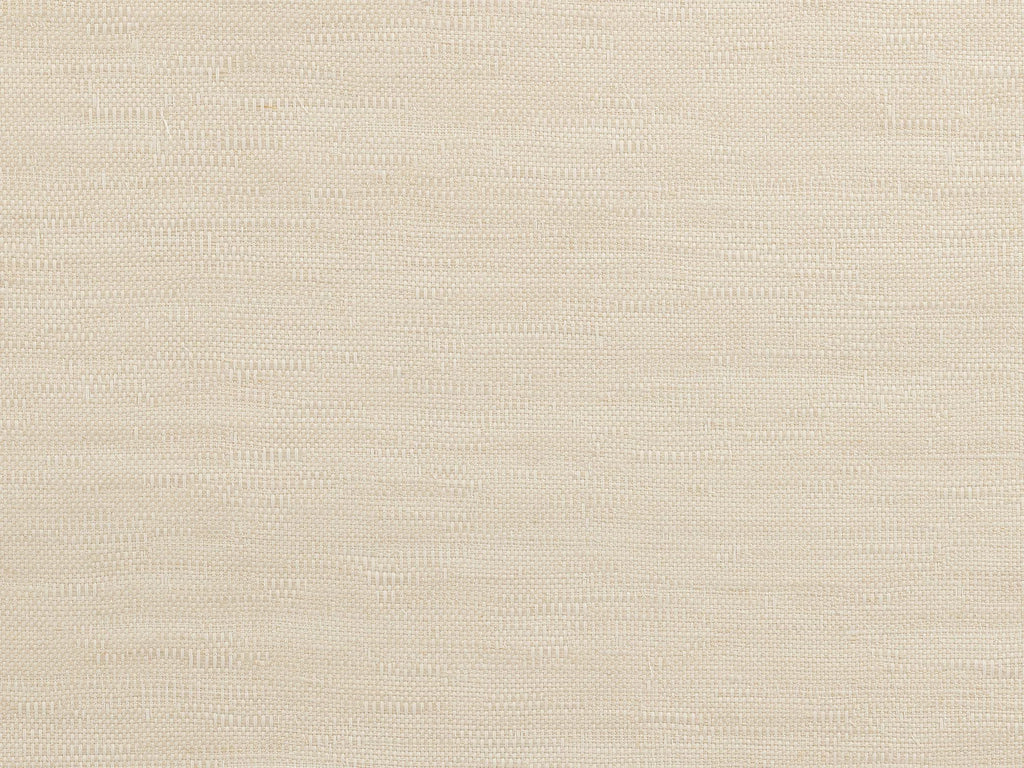 Aiko, Champagne