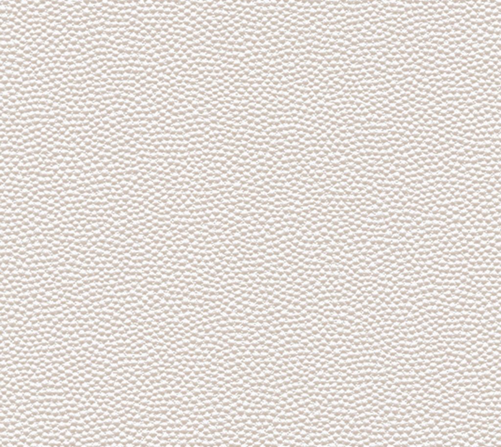 Atoll - Seashell Wallcovering | Phillipe Romano
