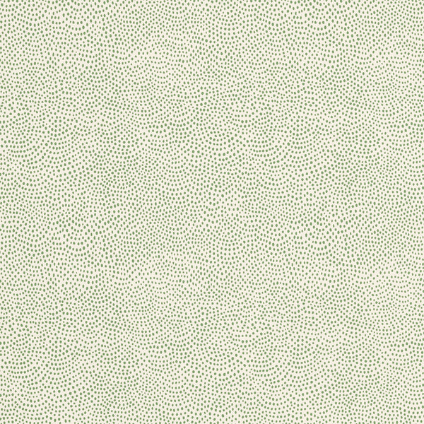 Dot All Over Wallcovering Green | Sister Parish