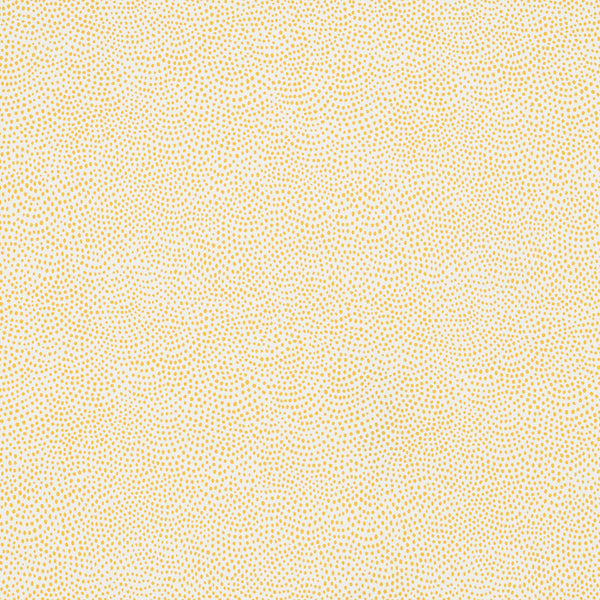 Dot All Over Wallcovering Wheat | Sister Parish
