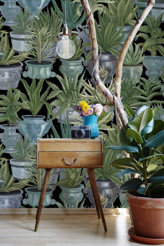 Echeveria - Black, Green, Grey Wallcovering | Mind the Gap