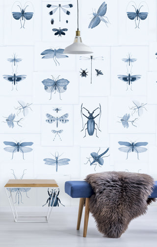Entomology Blue Wallpaper | Mind The Gap