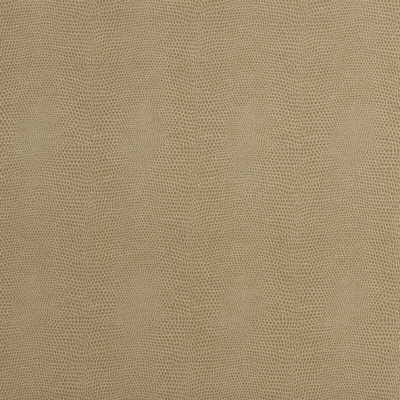 Samples and Purchasing available for Epitome - Putty Beige By Kravet Couture |  |Texture Animal Skins Upholstery Vinyl/Faux Leather at Designer Wallcoverings and Fabrics
