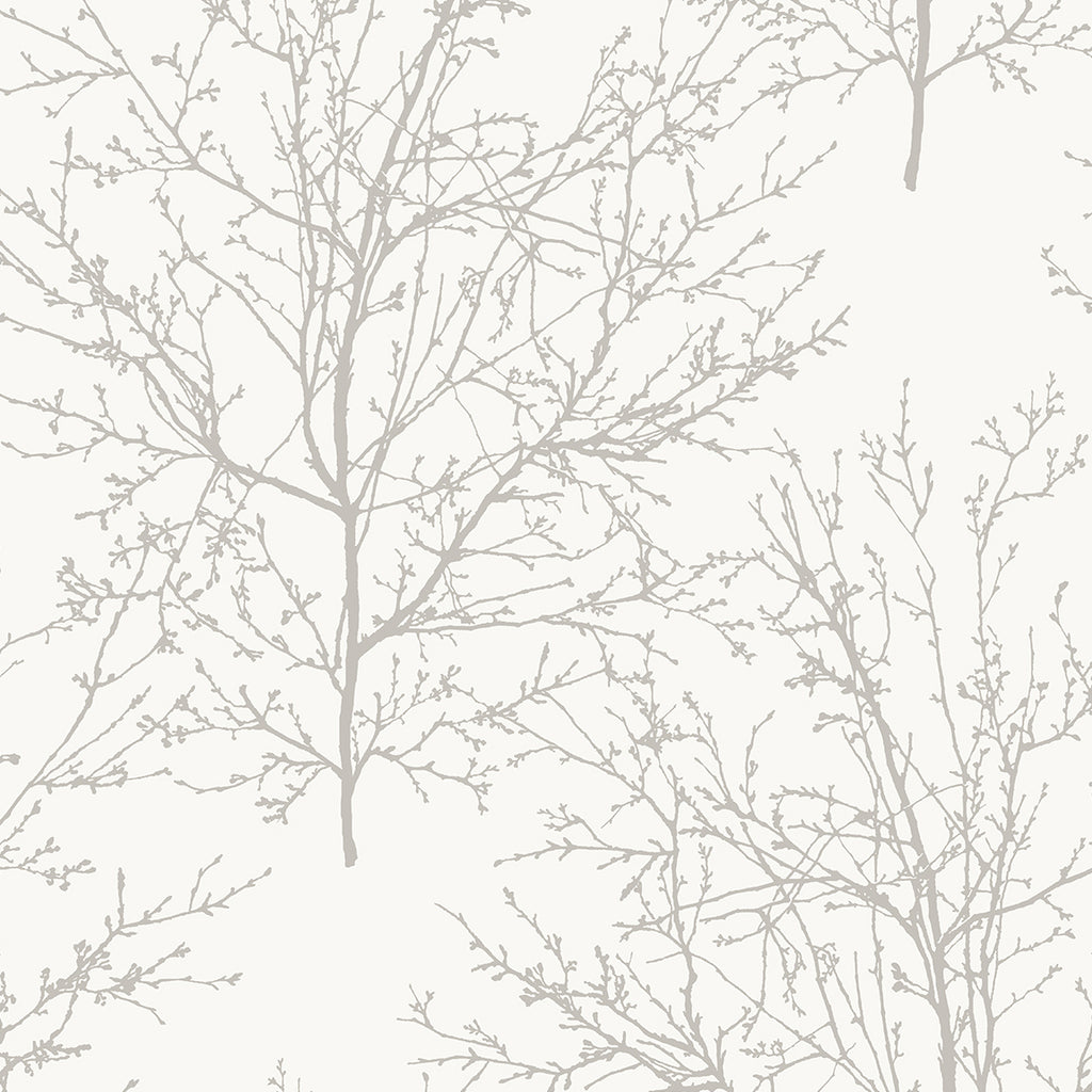 Malibu Winter Branches Wallpaper - Contemporary Botanical - Pearl Grey | Malibu Wallpaper