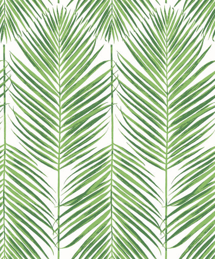 Marina Palm Coastal Botanical - Summer Fern | Architectural Wallcoverings