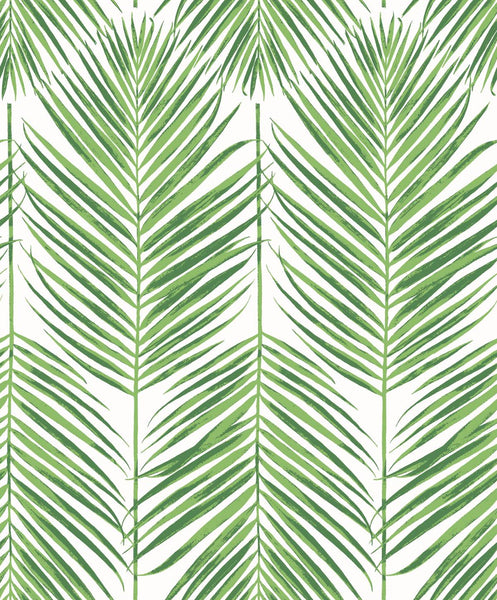 Malibu Marina Palm Wallpaper - Coastal Botanical - Summer Fern | Malibu Wallpaper