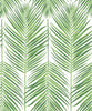 Malibu Marina Palm Wallpaper - Coastal Botanical - Summer Fern | Malibu Wallpaper