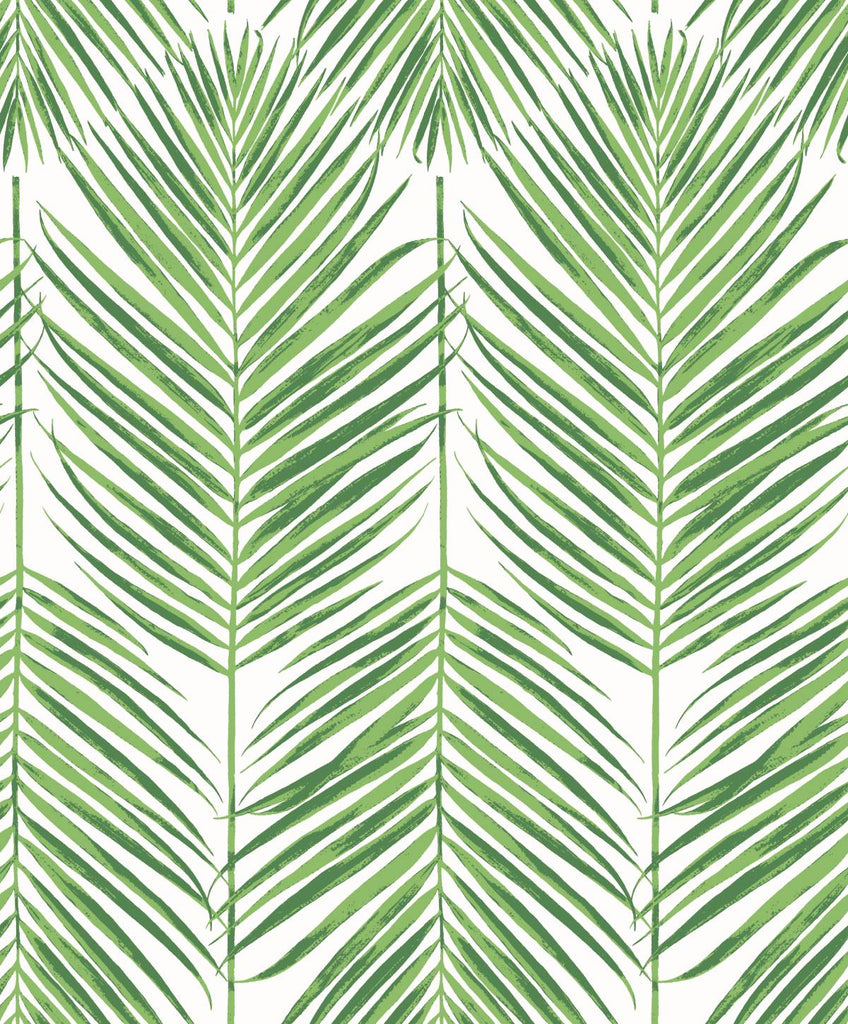 Malibu Marina Palm Wallpaper - Coastal Botanical - Summer Fern | Malibu Wallpaper