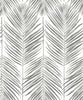 Malibu Marina Palm Wallpaper - Coastal Botanical - Daydream Grey | Malibu Wallpaper