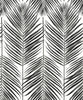 Malibu Marina Palm Wallpaper - Coastal Botanical - Ebony | Malibu Wallpaper