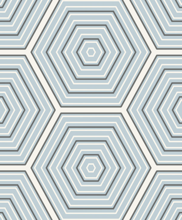 Hex Topography Contemporary Geometric - Sky Blue & Argos Grey | Architectural Wallcoverings