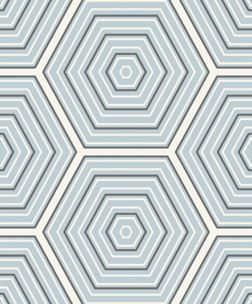 Malibu Hex Topography Wallpaper - Contemporary Geometric - Sky Blue & Argos Grey | Malibu Wallpaper
