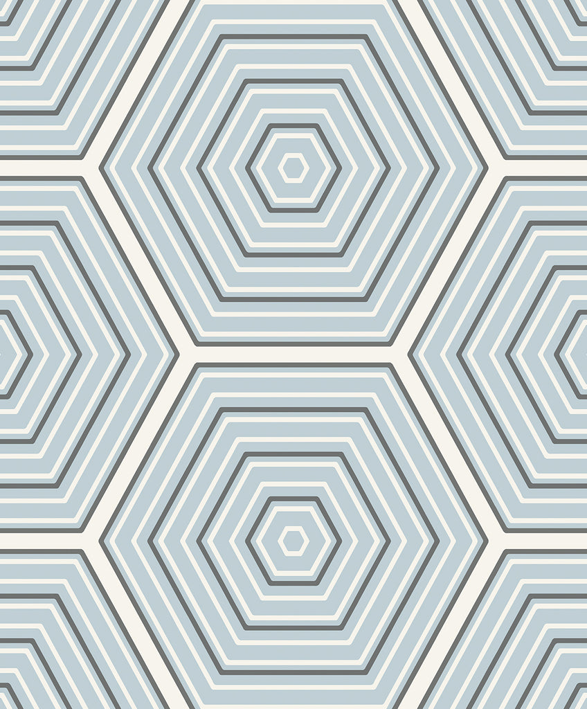 Malibu Hex Topography Wallpaper - Contemporary Geometric - Sky Blue & Argos Grey | Malibu Wallpaper