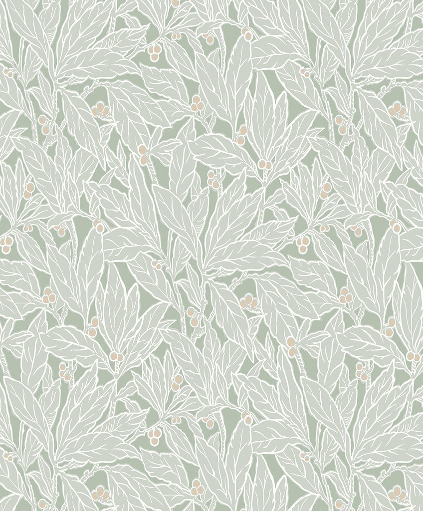Malibu Leaf and Berry Wallpaper - Vintage Botanical - Spearmint | Malibu Wallpaper
