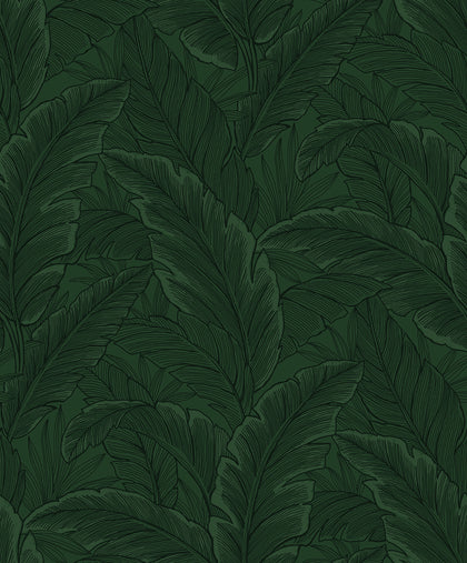 Gulf Tropical Leaves Tropical Palm Leaves - Forest Green | Architectural Wallcoverings