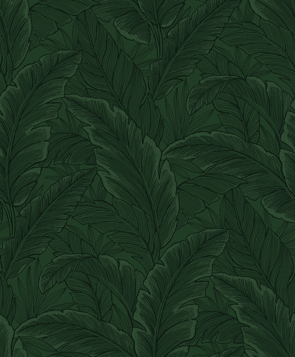 Gulf Tropical Leaves Tropical Palm Leaves - Forest Green | Architectural Wallcoverings
