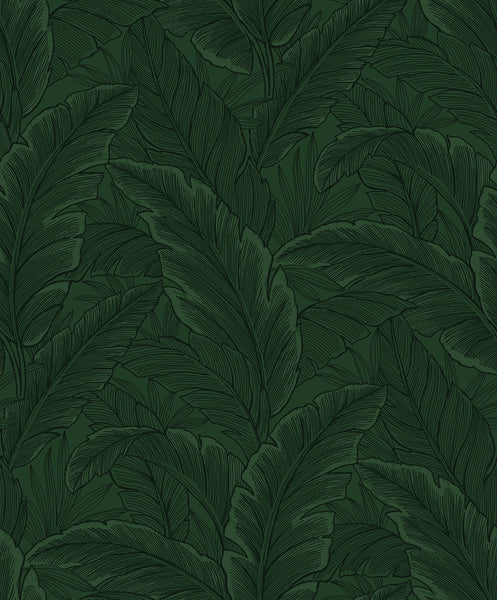 Malibu Gulf Tropical Leaves Wallpaper - Tropical Palm Leaves - Forest Green | Malibu Wallpaper