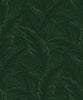 Malibu Gulf Tropical Leaves Wallpaper - Tropical Palm Leaves - Forest Green | Malibu Wallpaper