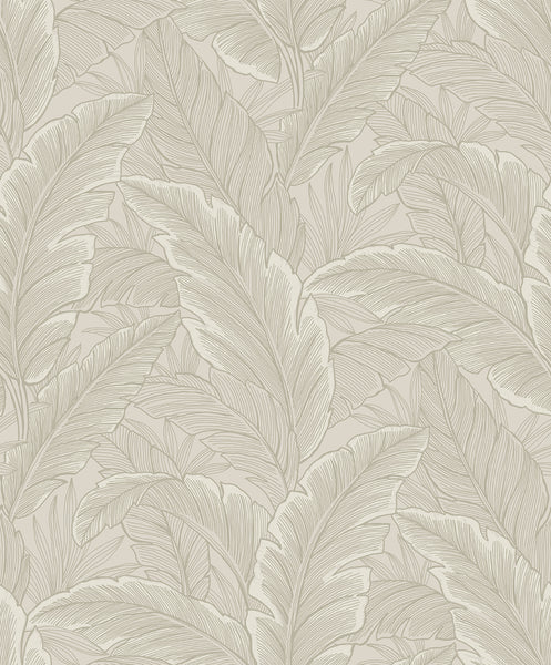 Malibu Gulf Tropical Leaves Wallpaper - Tropical Palm Leaves - Crema | Malibu Wallpaper