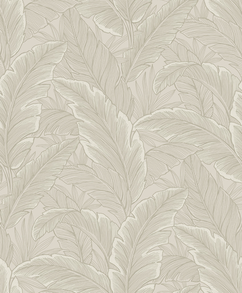 Malibu Gulf Tropical Leaves Wallpaper - Tropical Palm Leaves - Crema | Malibu Wallpaper