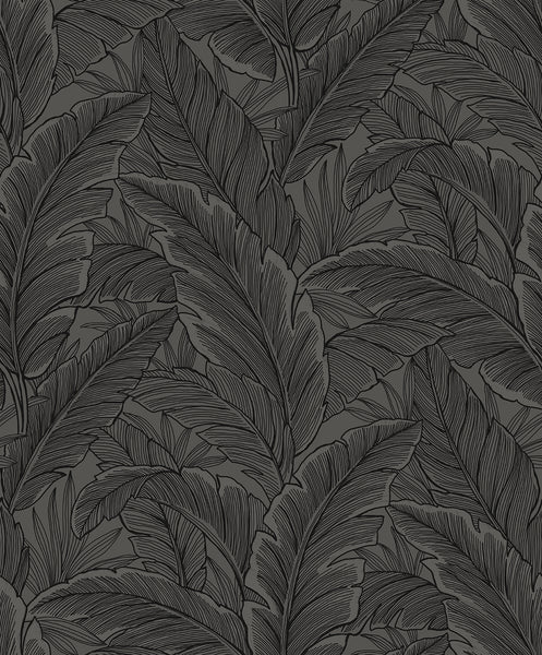 Malibu Gulf Tropical Leaves Wallpaper - Tropical Palm Leaves - Slate Grey | Malibu Wallpaper