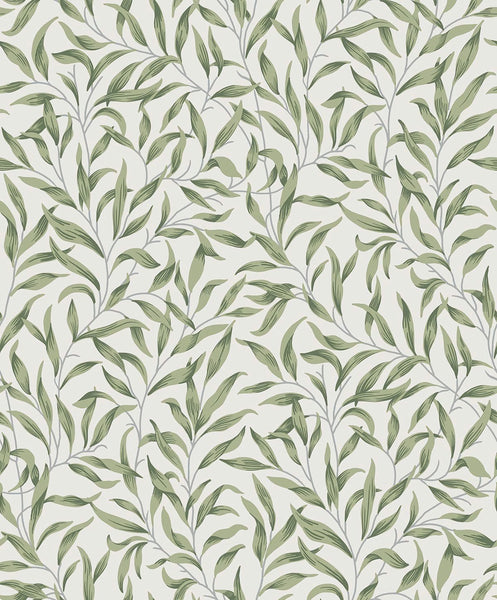 Malibu Willow Leaves Wallpaper - Vintage Botanical - Sprig Green | Malibu Wallpaper