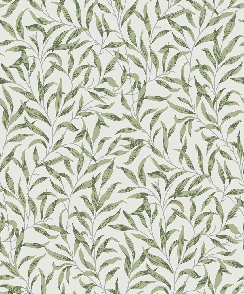 Malibu Willow Leaves Wallpaper - Vintage Botanical - Sprig Green | Malibu Wallpaper