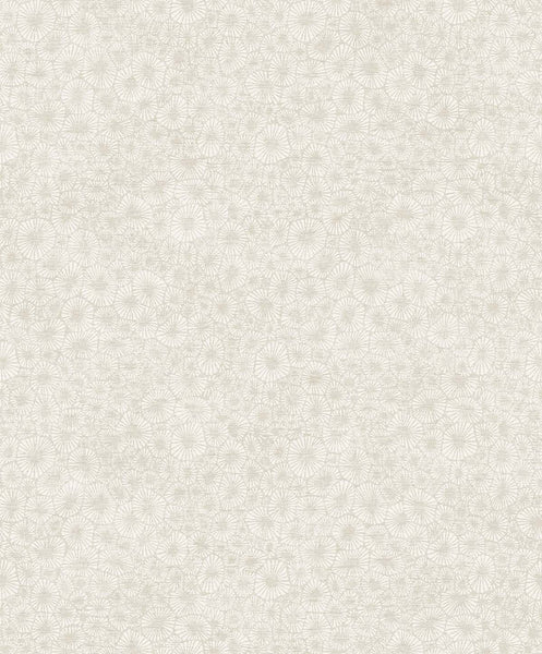Malibu Windham Shells Wallpaper - Contemporary Abstract - South Sea Pearl | Malibu Wallpaper