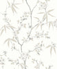 Malibu Floral Blossom Trail Wallpaper - Contemporary Floral - Morning | Malibu Wallpaper
