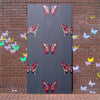 Butterfly Red & Gold on Black