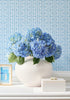 T-Square, Light Blue