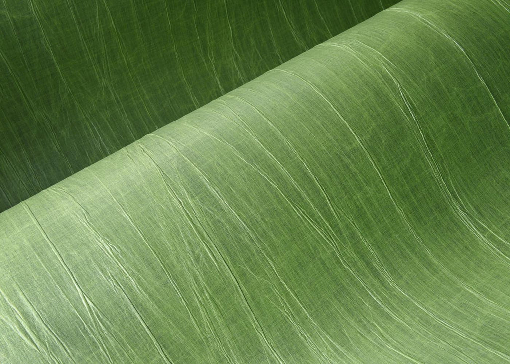 Pyxis Pleated Stripe Iguana Wallpaper | Arte Europe