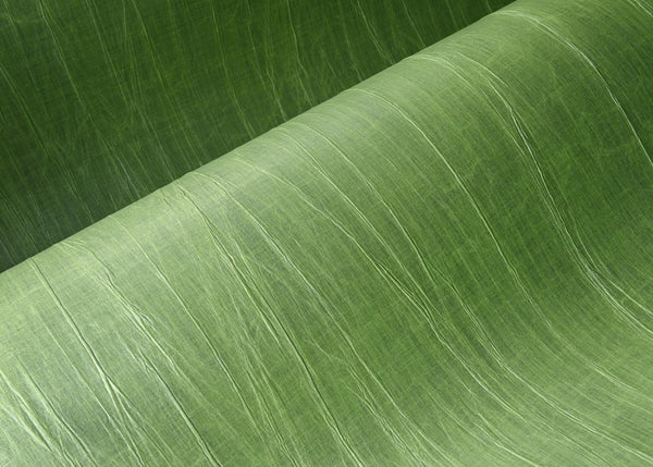 Pyxis Pleated Stripe Iguana Wallpaper | Arte Europe