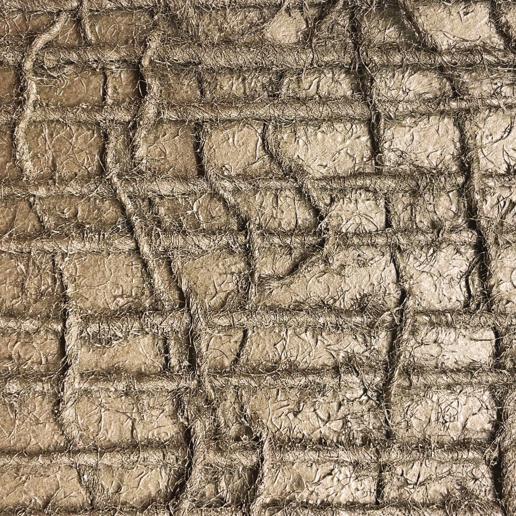 Erosion Champagne